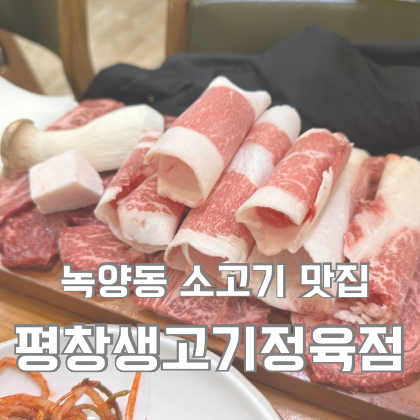  녹양동 소고기 맛집 평창생고기정육점 의정부 아이랑 식당 후기