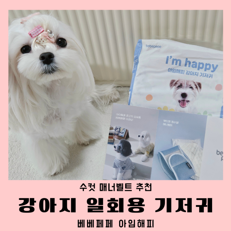  수컷 매너벨트 베베페페 아임해피 일회용 강아지기저귀
