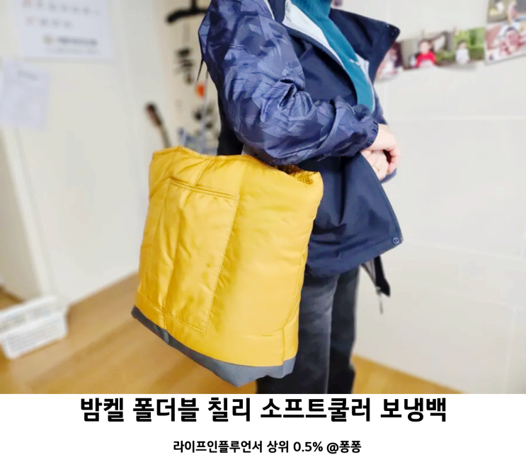 아이스박스 추천 아이스쿨러 밤켈 폴더블 칠리 소프트쿨러 아기 이유식 가방 보냉백 아이스박스 추천 아이스쿨러 밤켈 폴더블 칠리 소프트쿨러 아기 이유식 가방 보냉백