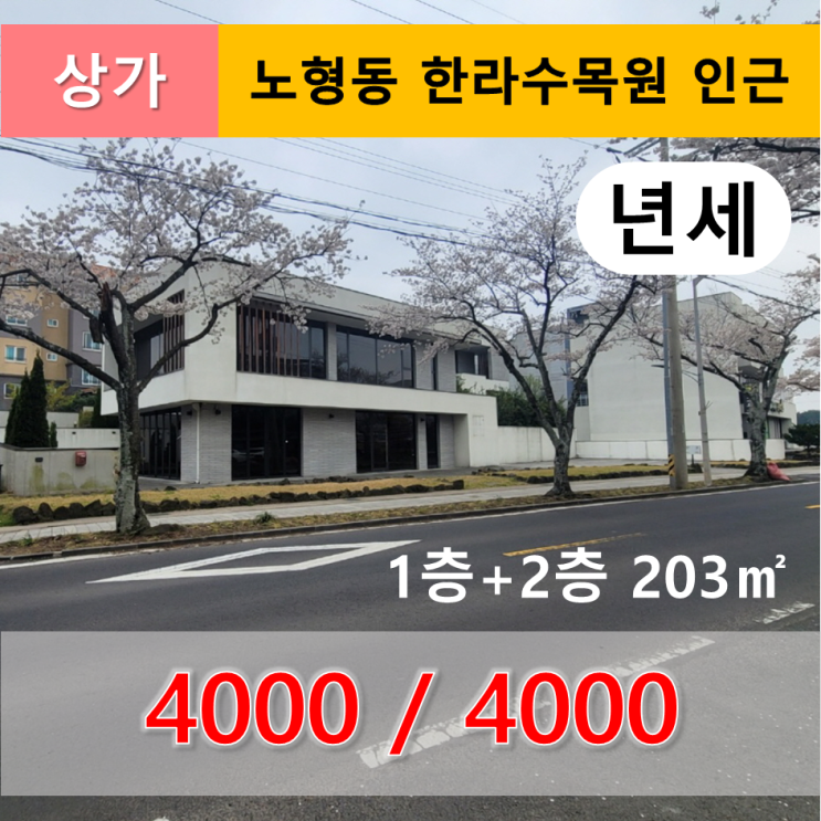  《제주도 상가》 노형동 한라수목원 인근 상가 임대