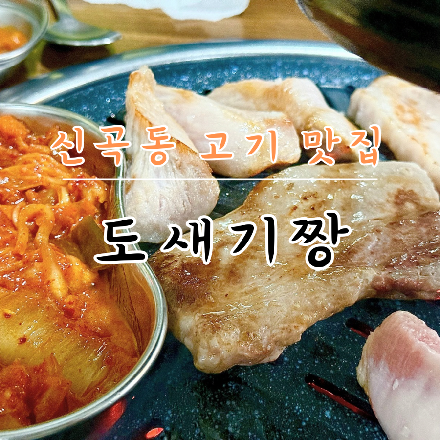 도새기짱 사진 1