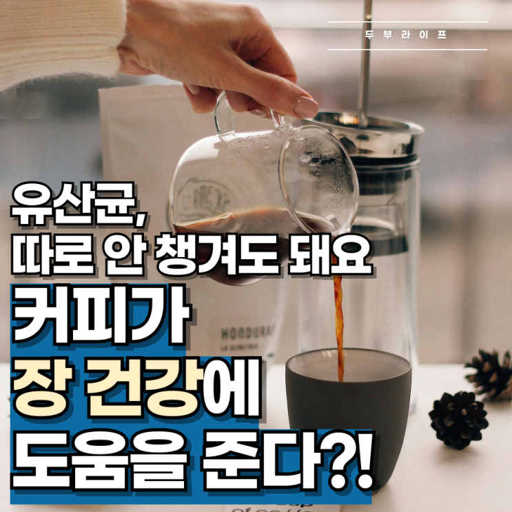  "유산균, 따로 안 챙겨도 돼요" 커피가 장 건강에 도움을 준다?!