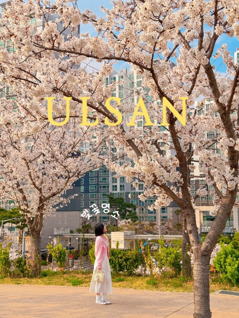 사진 7