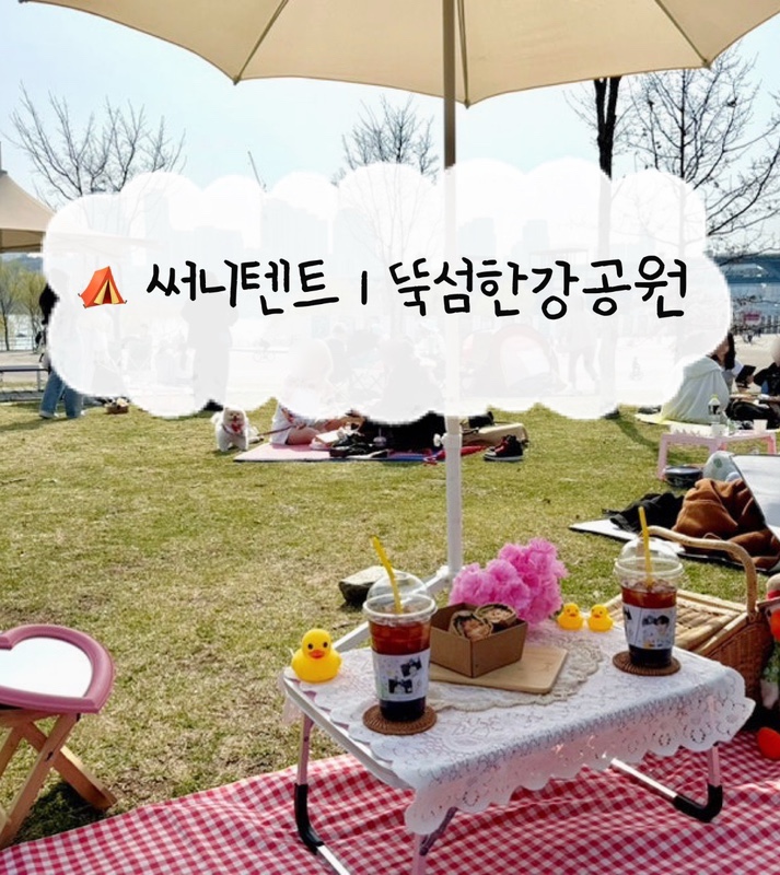  [한강텐트 대여] 써니텐트 | 뚝섬한강공원 건대 피크닉세트 4시간 대여 후기