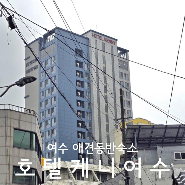  여수 애견동반숙소 가성비 좋은 호텔케니여수 펫룸 스탠다드 내돈내산 후기