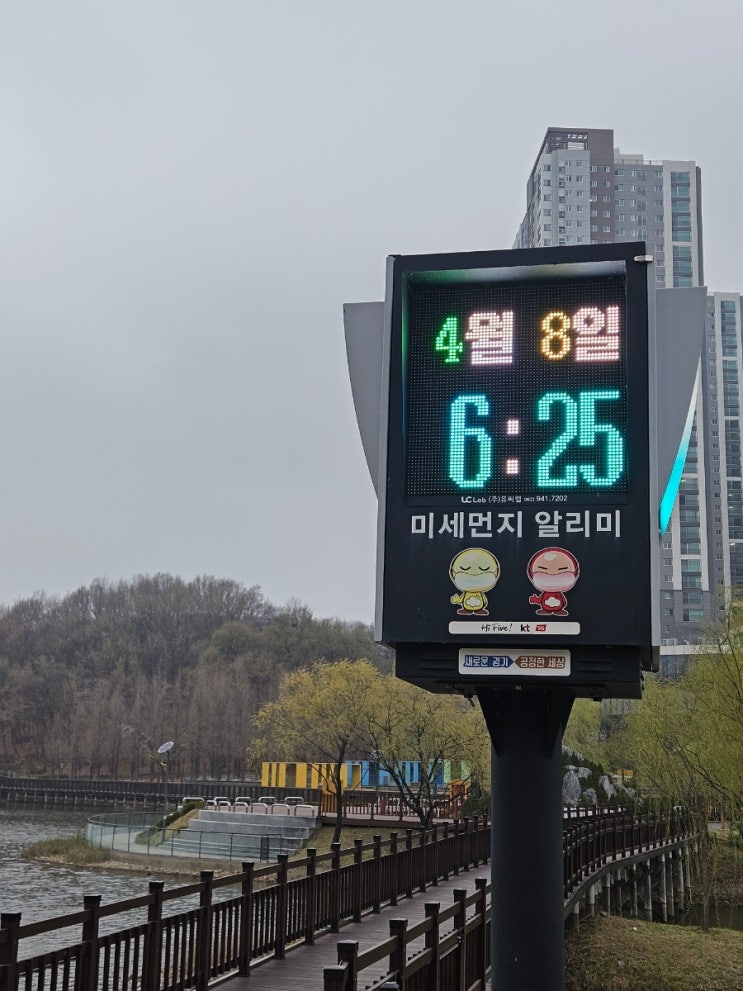  러닝챌린지 D+11