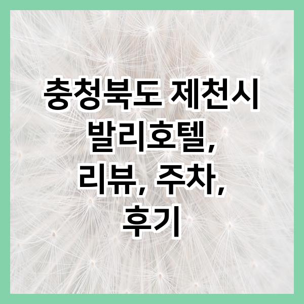 발리호텔 사진 1
