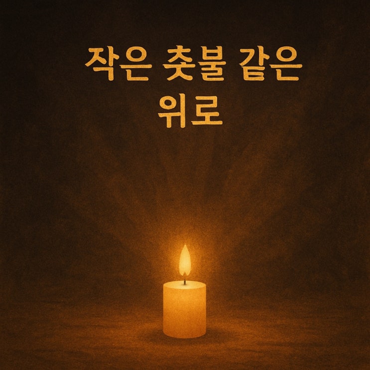  작은 촛불 같은 위로 그날의 눈빛을 잊지 못해요 마음이 말랑해지는 순간들