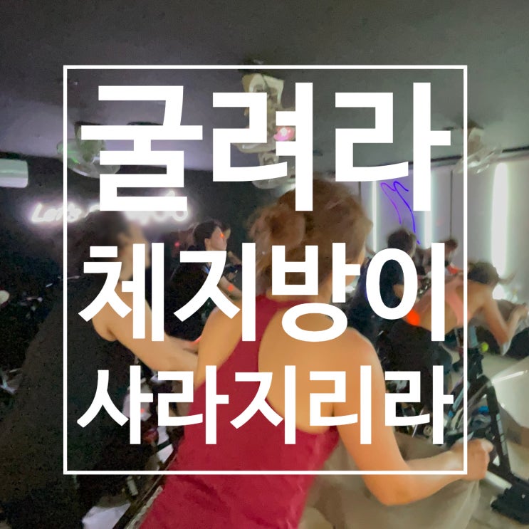  일산 스피닝 굴려라 너희의 체지방이 사라지리라