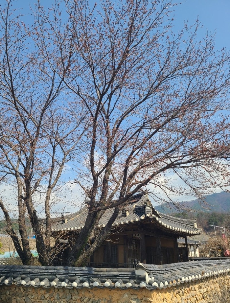 사진 9