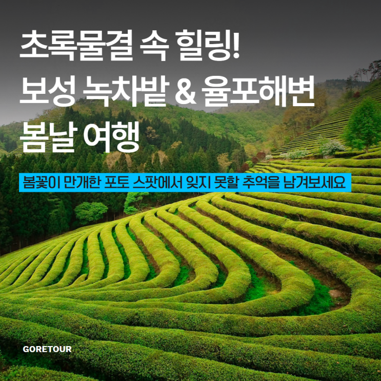  초록물결 속 힐링! 보성 녹차밭 & 율포해변 봄날 여행