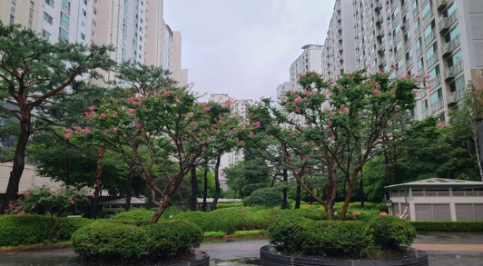  물건은 나오는데 매수는 멈췄다  서울,수도권 아파트 탄핵 이후 눈치 장세 본격화