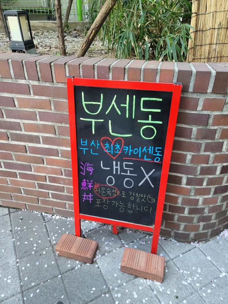 부산 수영 광안역 카이센동 부쎈쯔께동 부센동 광안리본점