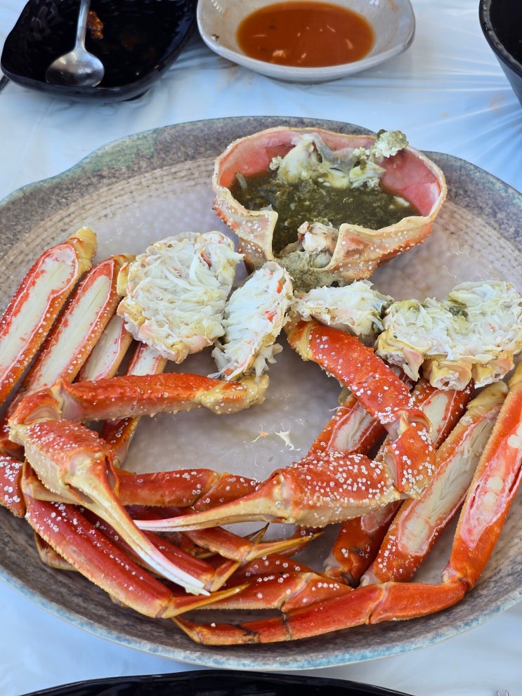  [강원] 묵호항 오션뷰 루프탑 대게 맛집 "크랩토랑 동해본점" 내돈내산