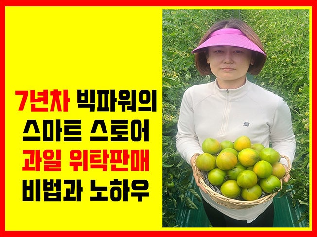가장 인기좋은 농산물 과일 위탁판매 전자책