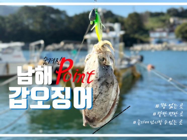 남해 갑오징어 무늬오징어 문어 낚시 워킹 포인트 탐사 4월