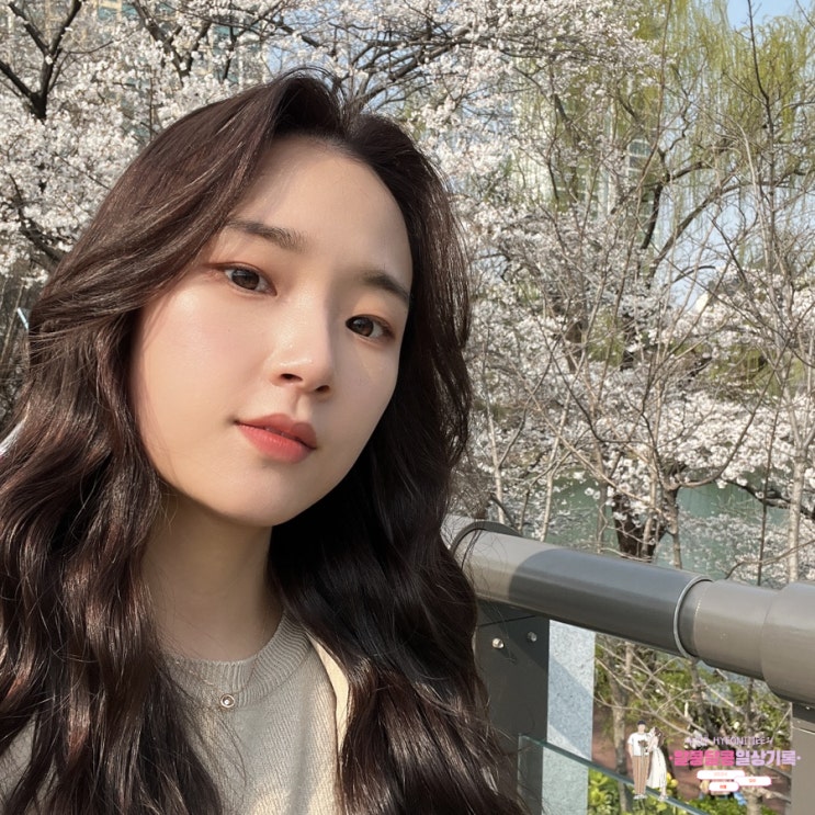  잠실 미용실 '아오하헤어 잠실점'에서 서하 디자이너 선생님께 톤다운 애쉬브라운 염색하고 왔어요!