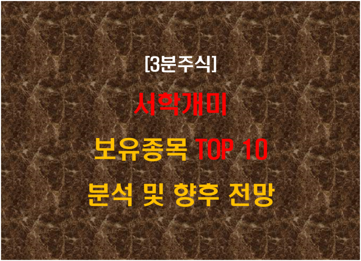  서학개미 보유종목 TOP 10 분석 및 향후 전망