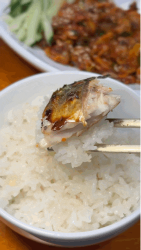  달서구 진천동 맛집 고등어 밥집집 금등어 달서구 직영점