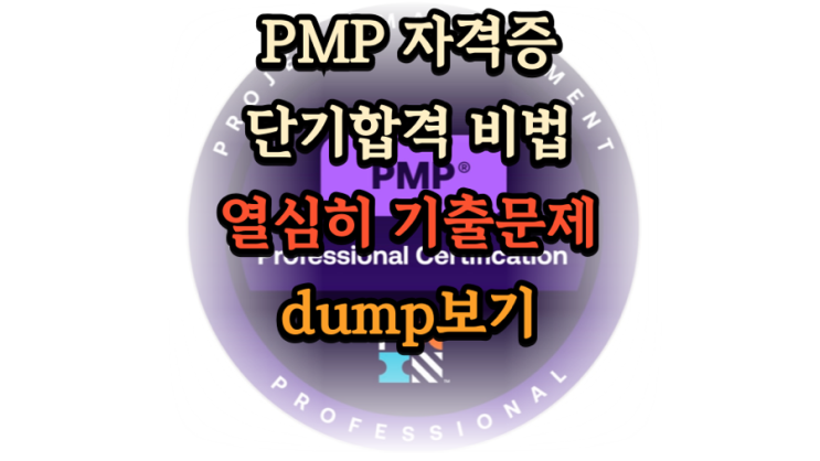  PMP 자격증 피엠피 시험 합격 전략 단기간에 준비하기
