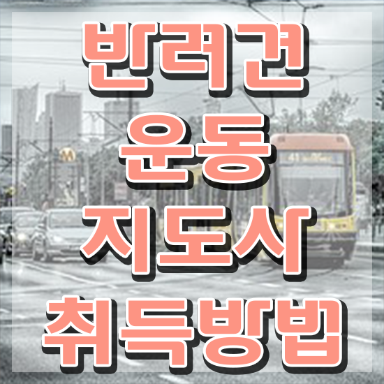 동물보건사 자격증 조건 , 반려견운동지도사 준비한 방법 및 활용방법