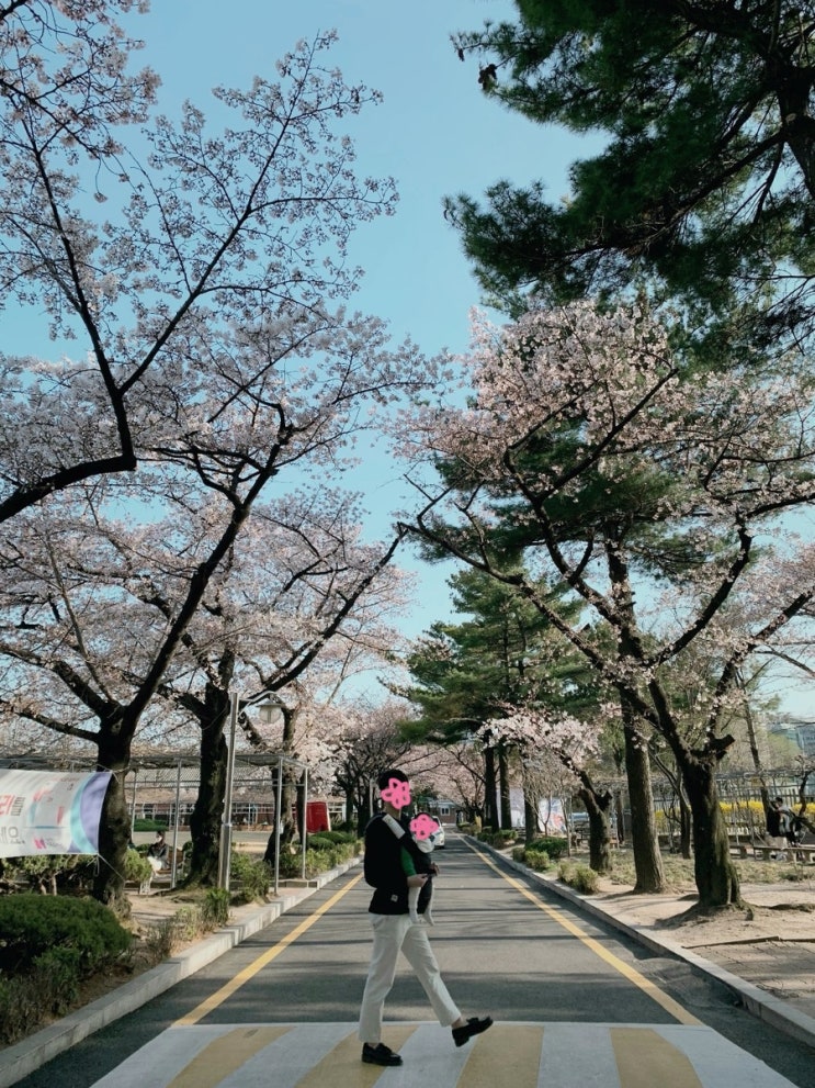  데이트 코스