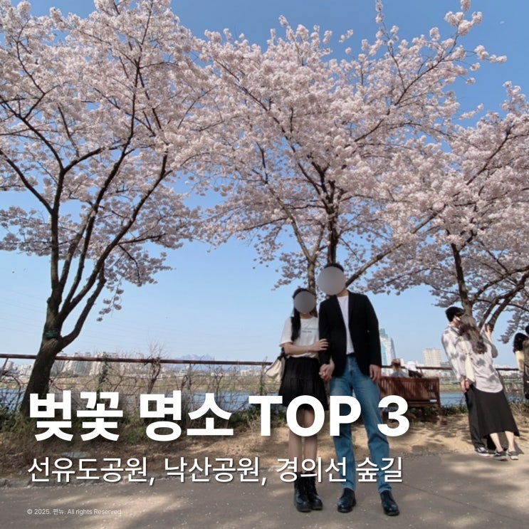  5년차 커플의 서울 벚꽃 구경 명소 추천 TOP 3