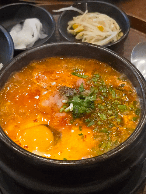  [강원] 동해 여행 맛집 혼밥 추천 "초당 쫄면순두부" 내돈내산