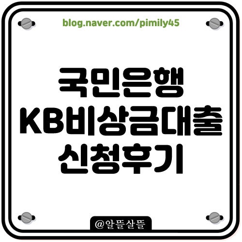 국민은행 KB 비상금대출 신청 및 연장 거절 후기
