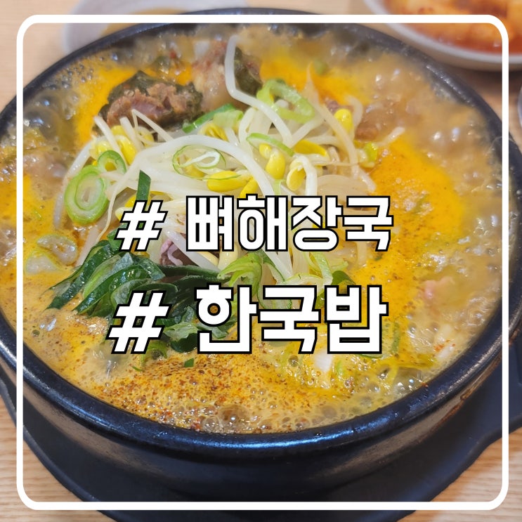  서초 점심 뼈해장국 맛집 부드러운 고기 한국밥