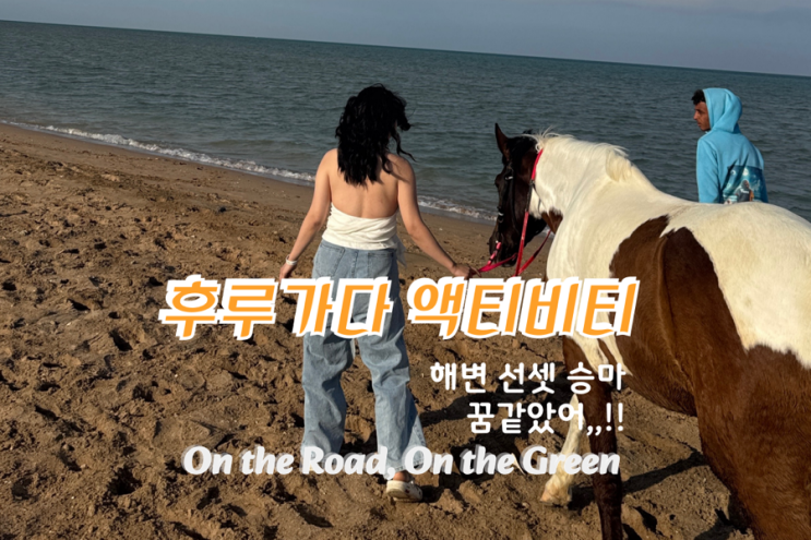  룩소르에서 후르가다 고버스 이동 후기 + 세리비치 리조트 & 선셋 해변 승마체험까지