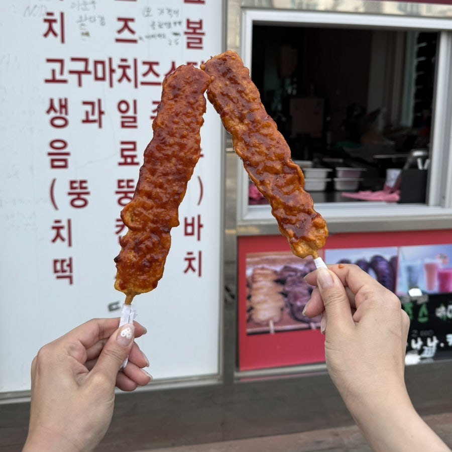 꼬지꼬지 사진 5