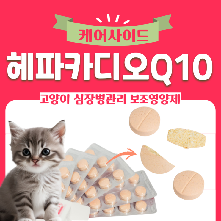  헤파카디오Q10 보조영양제로 고양이 심장비대증(HCM) 관리해요