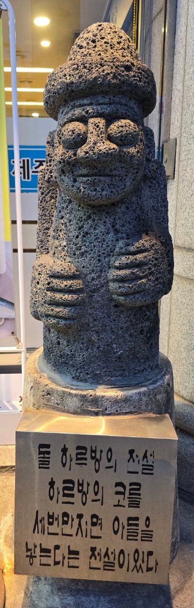 제주물항1950 김포점 사진 5