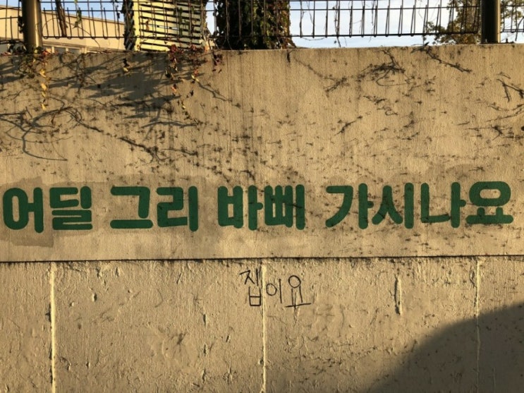  어차피 알려줘도 안해 - 주식, 미국주식, 미국 ETF, 부업(블로그, 에어드랍, 워드프레스 애드센스)
