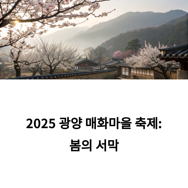  광양 매화마을 축제, 실시간 개화현황 확인해봤어요