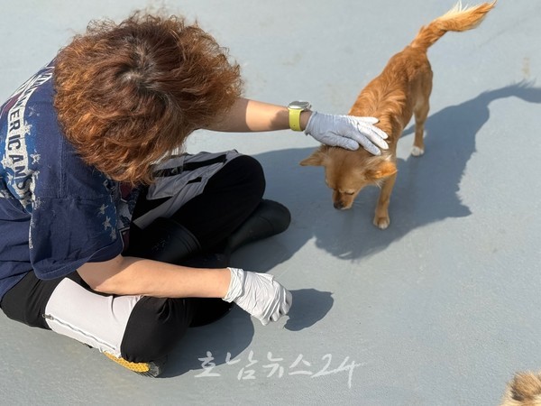  광주시 동물보호센터 자원봉사자 수시 모집