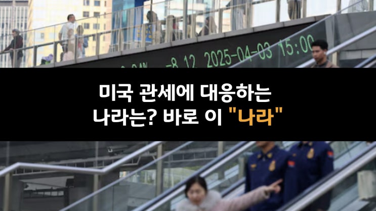  미국 관세에 대응하는 나라는 바로 이 "나라"