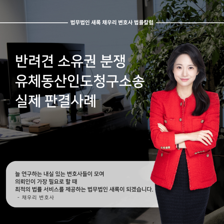  반려견 소유권 분쟁 유체동산인도청구소송 실제 판결사례