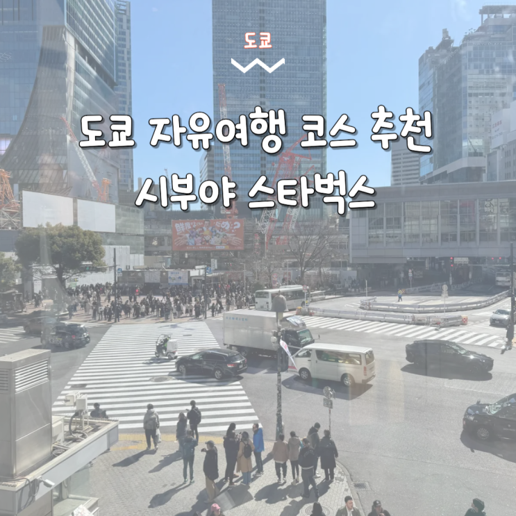  도쿄 자유여행 시부야 스타벅스