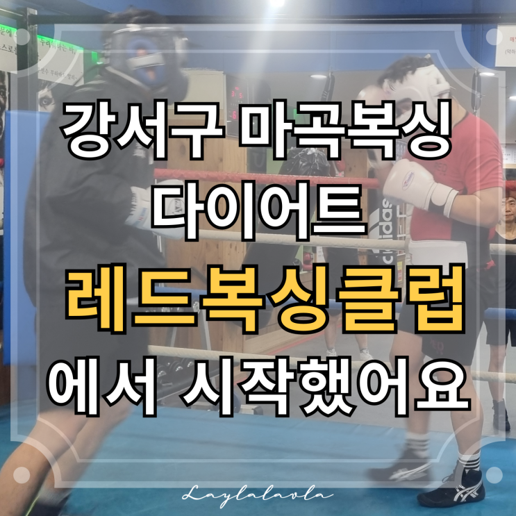  마곡복싱 다이어트, 강서구복싱 레드복싱클럽에서 시작했어요