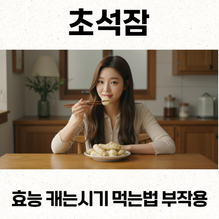  초석잠효능 캐는시기 먹는법 부작용