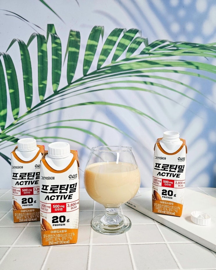 맛있는 프로틴음료 단백질쉐이크 추천 그린비아 프로틴밀 ACTIVE 맛있는 프로틴음료 단백질쉐이크 추천 그린비아 프로틴밀 ACTIVE