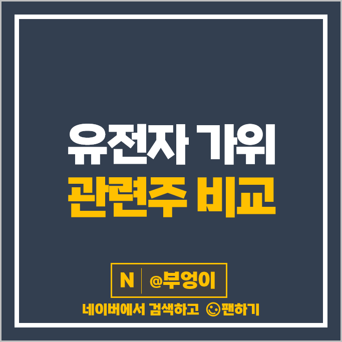 유전자가위 관련주 툴젠 코오롱생명과학 바이넥스 주가 진원생명과학 지노믹트리 주식 유전자가위 관련주 툴젠 코오롱생명과학 바이넥스 주가 진원생명과학 지노믹트리 주식