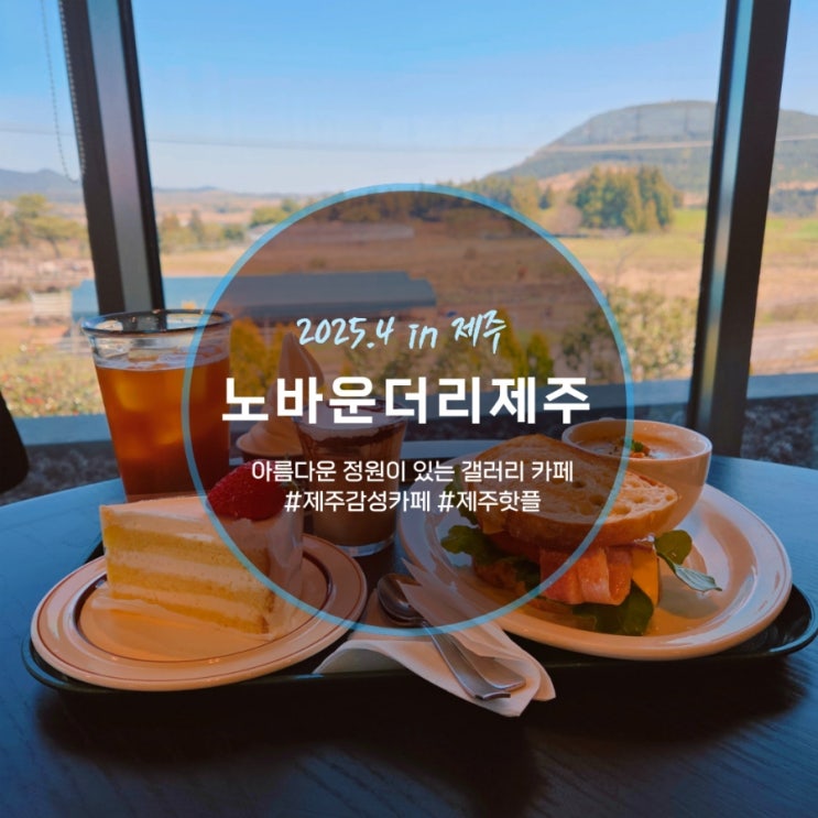  제주 브런치 표선 맛집 감성카페 노바운더리 제주