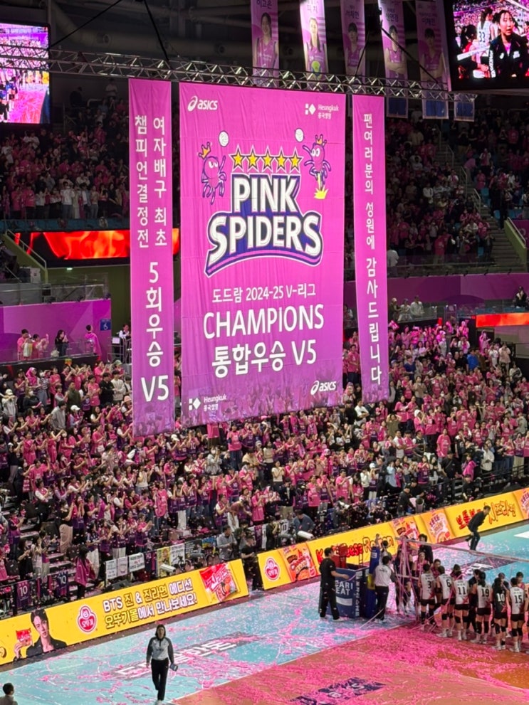  [도드람 2024-2025 V-리그] 250408 흥국생명 vs 정관장 김연경 마지막 경기 관람 @인천삼산월드체육관