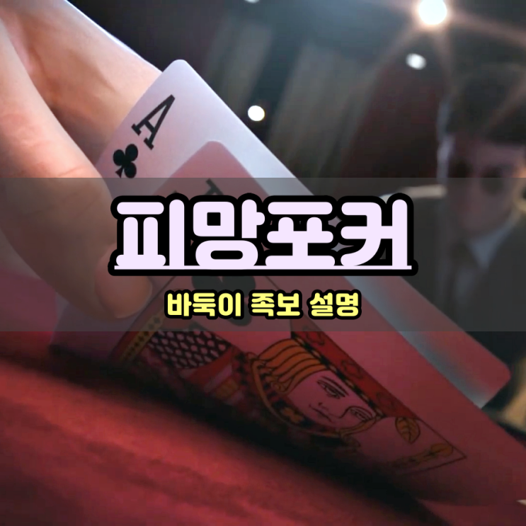  캐주얼게임 끝판왕 피망포커 바둑이 족보 쉽네 쉬워