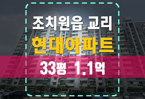  세종 조치원 교리 현대아파트 30평대 1.1억 법원경매