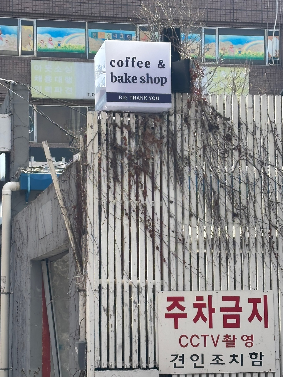 빅땡큐 사진 1