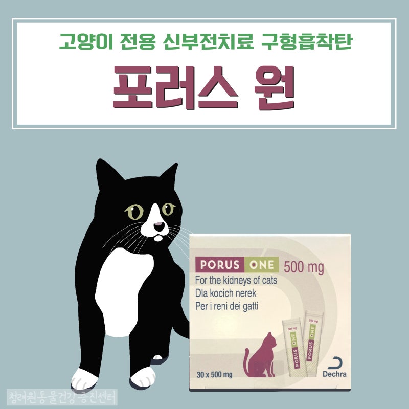 고양이 전용 신부전치료 구형흡착탄, 하루 한번 포러스 원